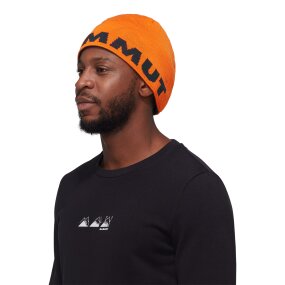 Mammut Logo Beanie arumita-night